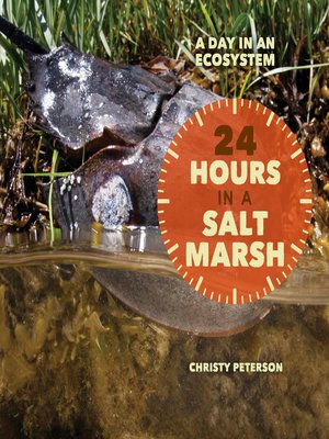 cover image of 24 Hours in a Salt Marsh